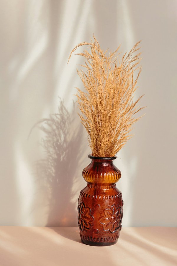 Pampa décoration : des vases uniques pour un intérieur réussi