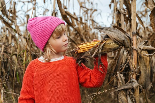 20 choses à faire au havre pour un séjour inoubliable